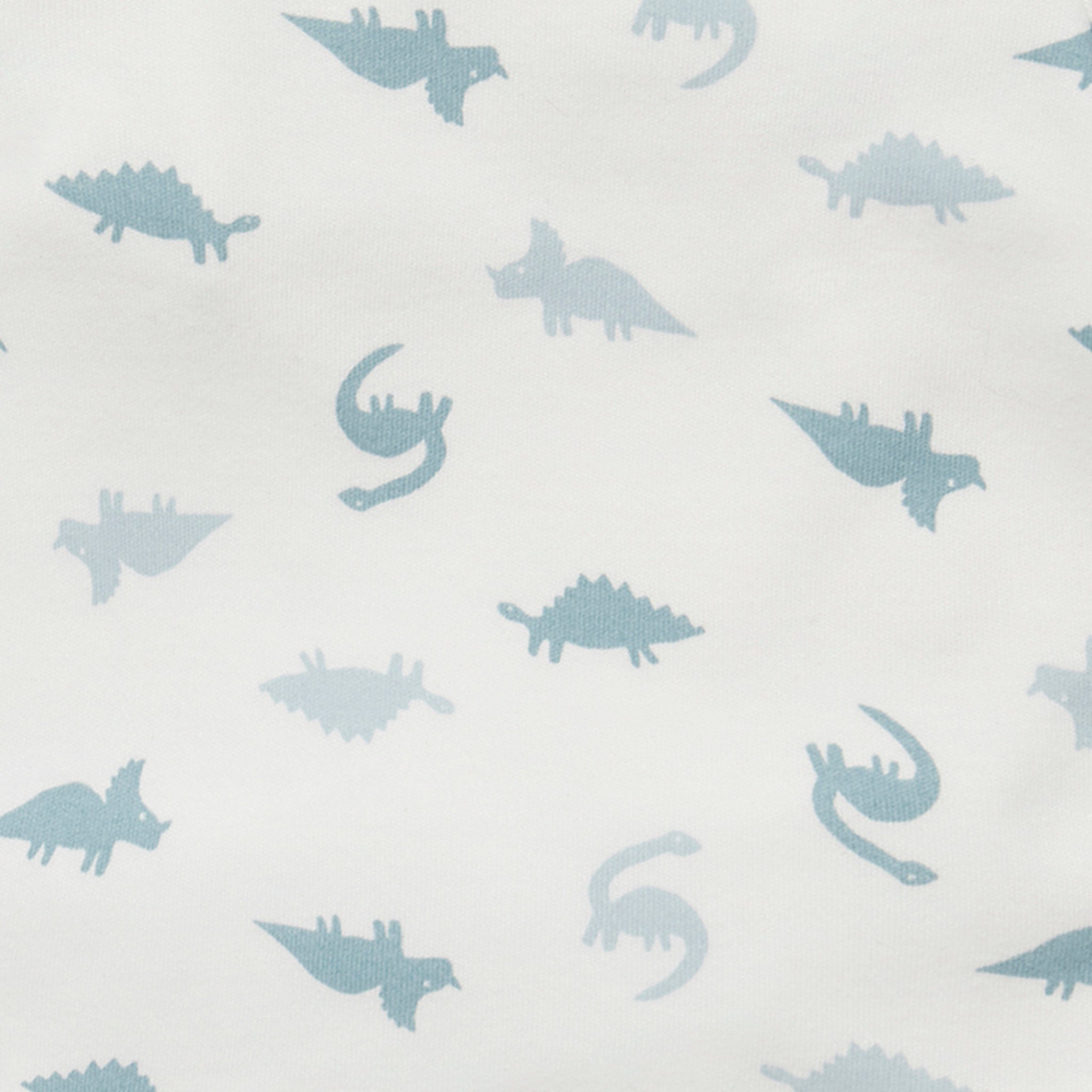 Dino_collection_crop